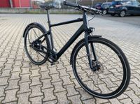 Rabeneick TX-E, Urban eBike, 25Km/h BaFang Nordrhein-Westfalen - Hennef (Sieg) Vorschau