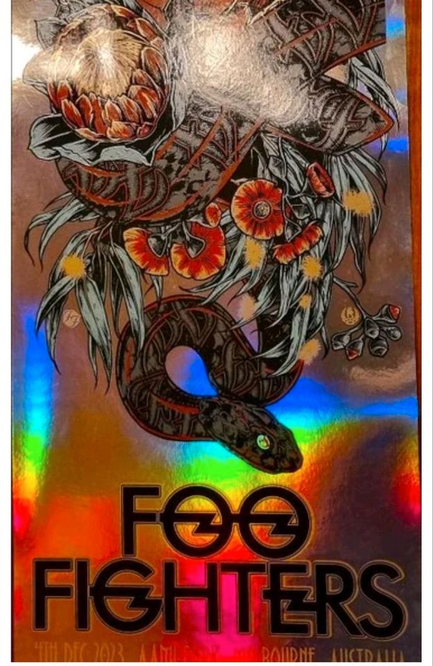 Foo Fighters Siebdruck Poster Rhys Cooper Folien Druck Limited Ed in Jena