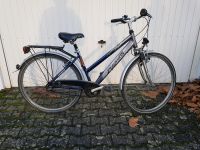 Fahrrad Damenrad Citybike Pegasus Alu Hessen - Oberursel (Taunus) Vorschau