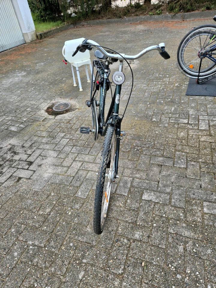 Gazelle  Fahrrad juweel 28 zoll 5 Gang in Lotte