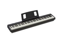 E-Piano Kawai Roland FP-10 mieten deutschlandweite Lieferung Rheinland-Pfalz - Niederzissen Vorschau