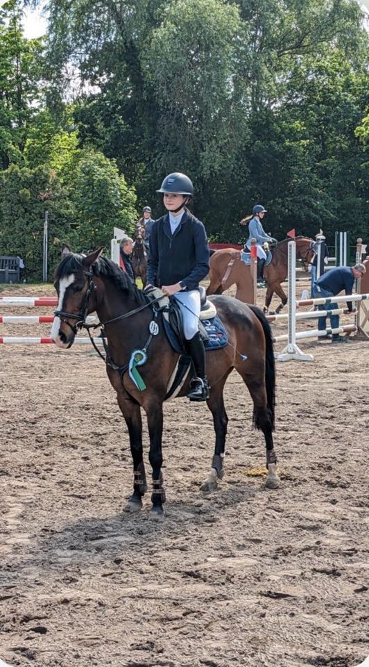 Biete Reitbeteiligung für zierliches Sportpony in Dreieich in Neu-Isenburg