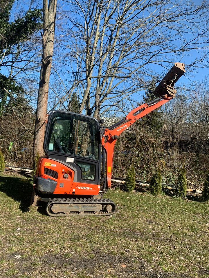 Zum Vermieten Minibagger Bagger Kubota KX019-4 in Radeberg