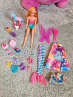 Barbie Dreamtopia mit viel Zubehör Bayern - Westendorf Vorschau