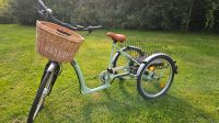 E-Bike Dreirad Fahrrad Mint. Nordrhein-Westfalen - Ahlen Vorschau