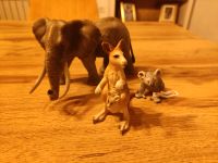 Schleich Elefant, Koala und Känguru Bayern - Kronach Vorschau