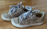 Geox Leder Sneakers Größe 31 Bonn - Beuel Vorschau