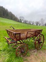 Kutsche Korbwagen Baden-Württemberg - Elzach Vorschau