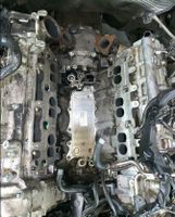 Mercedes Motor OM 642 Ölkühler/Wärmetauscher Repratur. Nordrhein-Westfalen - Nümbrecht Vorschau