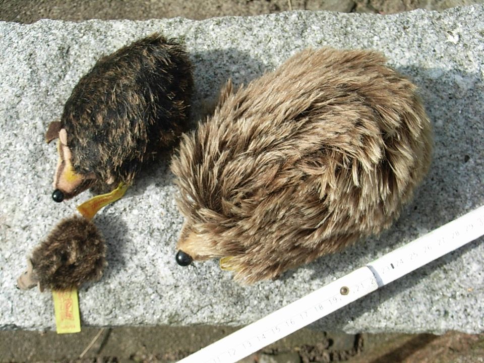 2x Steiff Igel - Joggi in Berlin