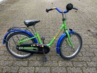 Pegasus Kinder Fahrrad 18 Zoll Nordrhein-Westfalen - Essen-Haarzopf Vorschau