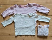 2er Set Baby Langarmshirts lupilu Größe 62/68 Mädchen Sachsen-Anhalt - Halle Vorschau