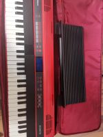 Roland Go Keys 61 Piano mit Allen Frankfurt am Main - Bergen-Enkheim Vorschau