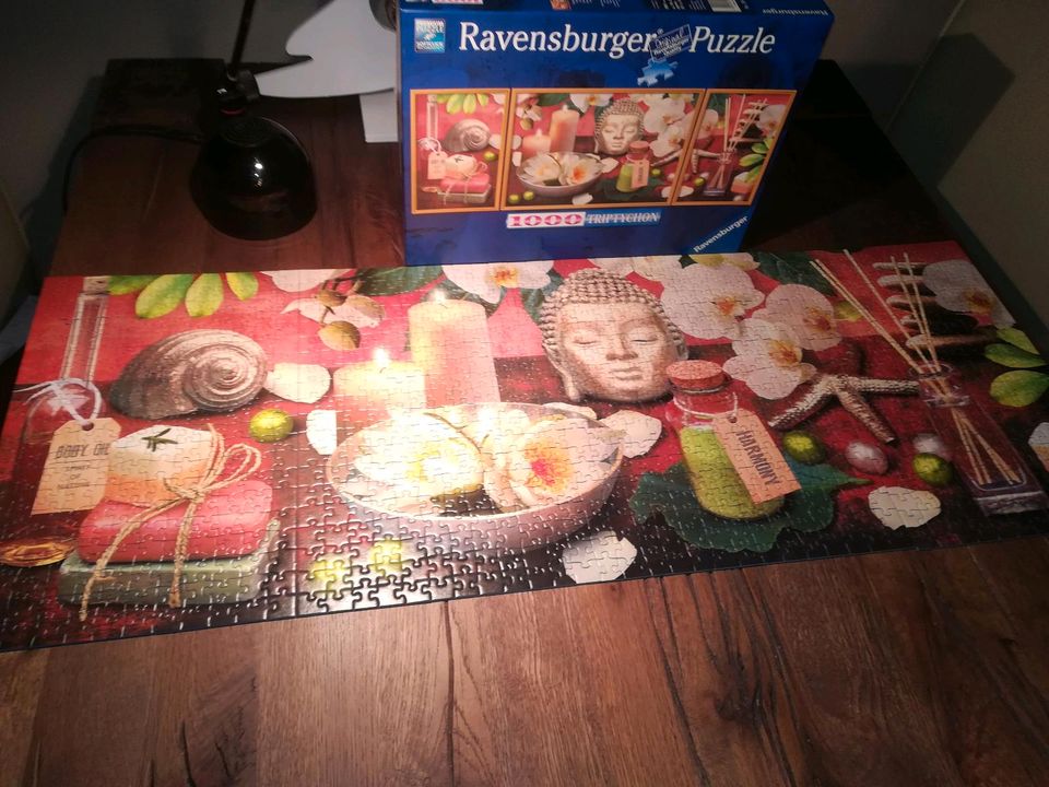 Puzzle 1000 Teile Ravensburger in Wolfenbüttel