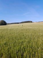 Grundstück, Immobilie, Lagerhalle in der Nähe von Zwönitz Sachsen - Zwoenitz Vorschau