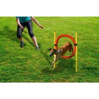 Beeztees Hunde Agility Reifen Set #Neu# Sachsen - Taura Vorschau