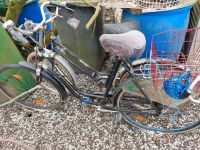 Drei sehr alte Fahrräder günstig kaufen Bayern - Untersiemau Vorschau
