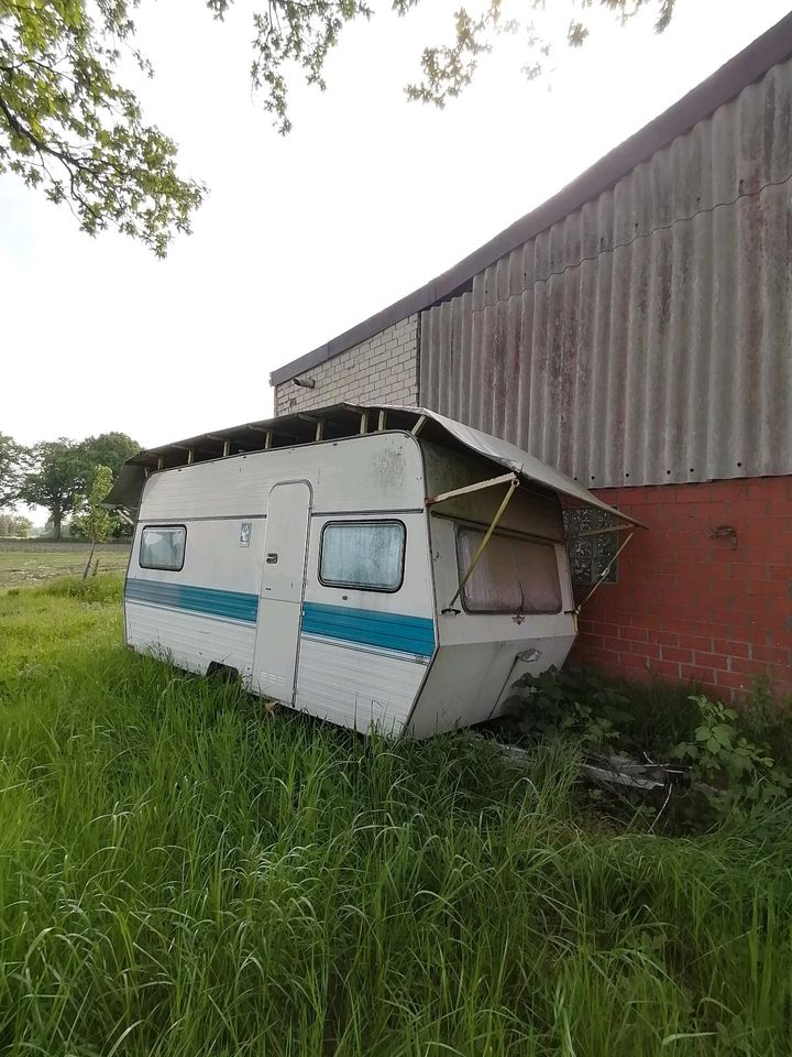 Knaus Wohnwagen in Wagenfeld