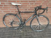 Cannondale Caad8 105er RH51 sehr gepflegt Schleswig-Holstein - Glinde Vorschau