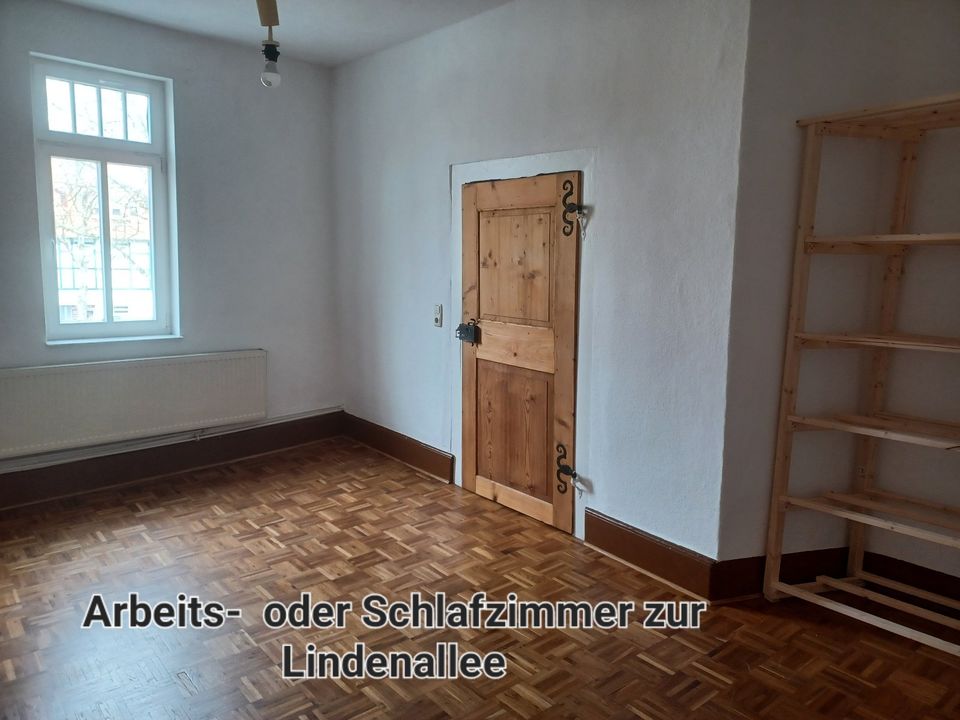 sanierte 3-Raum Altbauwohnung, grün und Innenstadtlage in Heilbad Heiligenstadt