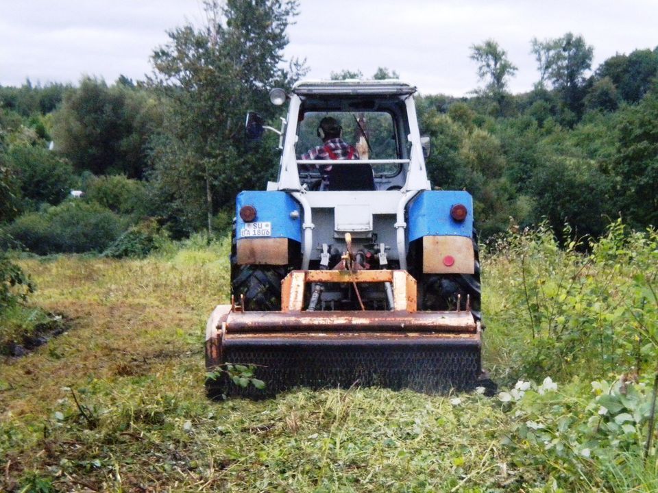 Forstmulcharbeiten/Stubbenfräsarbeiten im Stundenlohn in Bornheim