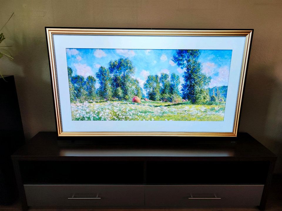 LG OLED 65 Zoll E9 120Hz Dolby Vision Alexa HDMI 2.1 OLED65E97LA in Asendorf (Nordheide)