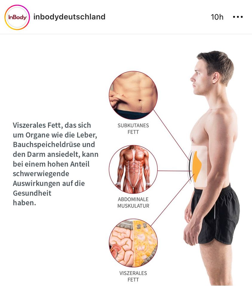 InBody Analyse - Körperzusammensetzung in Düsseldorf