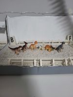 Spielzeug dienosaurier klein Brandenburg - Blankenfelde-Mahlow Vorschau