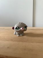 Littlest Pet Shop Hamster #2451 Aachen - Aachen-Mitte Vorschau