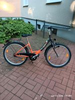 Pegasus Fahrrad  24 Zoll Essen - Essen-Borbeck Vorschau