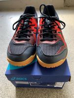 ASICS GEL-ROCKET 9 - Sportschuhe - Größe 8 1/2 (EU 41) Sachsen - Gelenau Vorschau