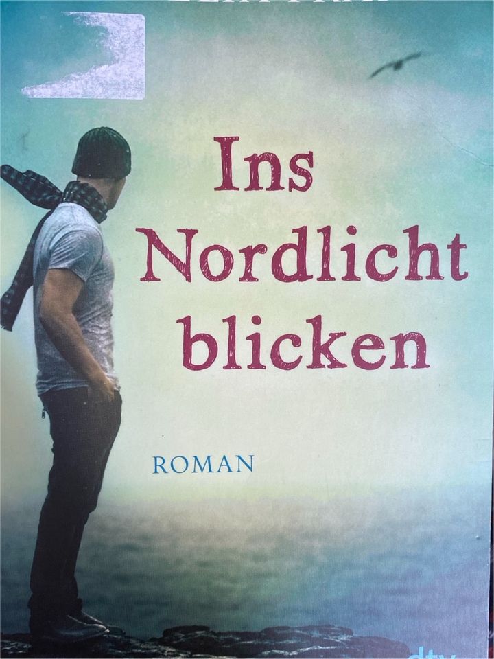 Buch  Ins nordlicht blicken in Hespe