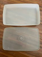 Tupperware 714+2826 Gefrierbehälter 23x14x4 cm milchig 600 ml Nordrhein-Westfalen - Ascheberg Vorschau