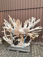 Adler Skulptur aus Teak Holz , Designer Deko - Garten Villa Haus Niedersachsen - Rinteln Vorschau