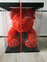 Rosen teddy bär Nordrhein-Westfalen - Marl Vorschau