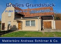 Einfamilienhaus auf großem Grundstück in Biebersdorf in der Nähe von Lübben/Spreewald Brandenburg - Märkische Heide Vorschau