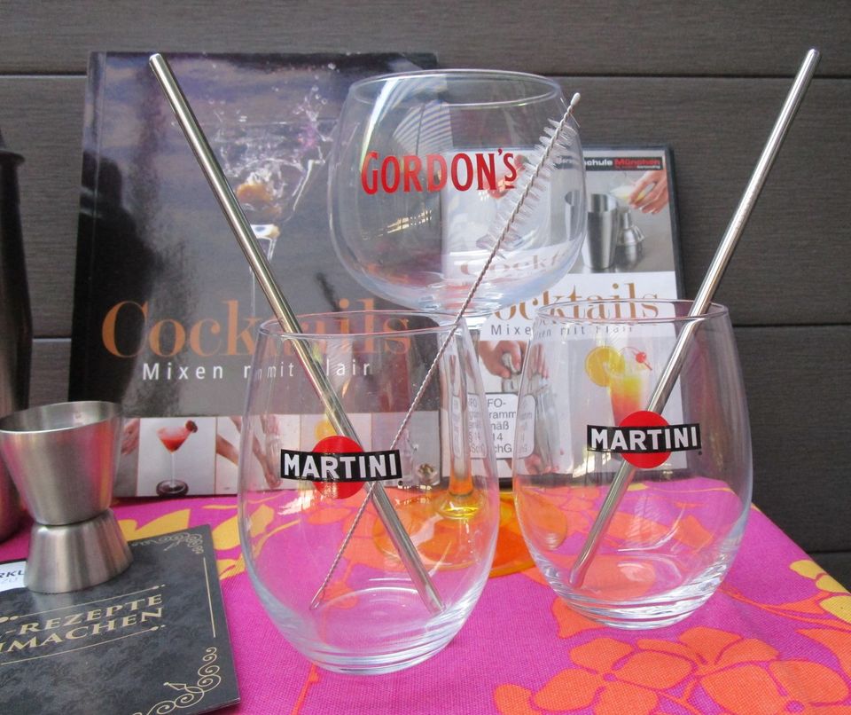 Set Cocktail Mixer Shaker CD Buch Martini Gordon's Strohhalm in Leimen