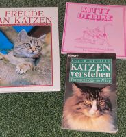 Katzenbücher 3 Stück Hessen - Grünberg Vorschau