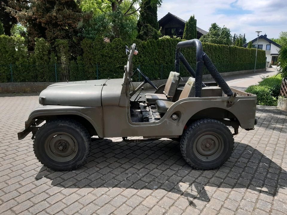 Willys Jeep CJ5 M38A1 Kaiser Jeep in Lauingen a.d. Donau