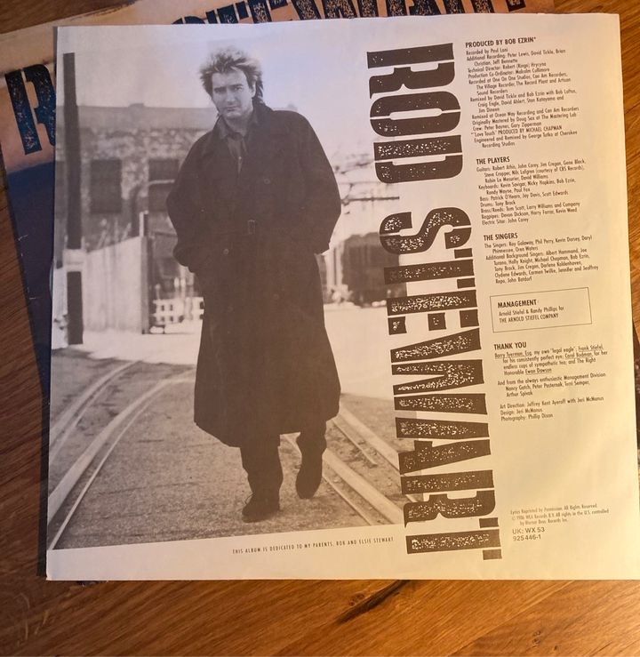 Rod Stewart Every Beat of my Heart Vinyl LP in Hamburg