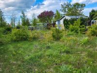 Garten/ Kleingarten/ Schrebergarten Sachsen - Chemnitz Vorschau