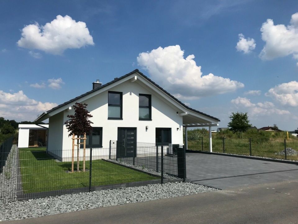 „Oskar“ Ferienhaus am See Urlaub Kurzurlaub Winterurlaub Sauna Kamin Boot Angeln Surfen in Delitzsch