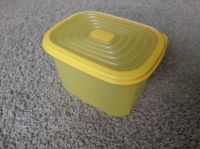 Tupperware *Bungee Box mit Flexi-Deckel Parchim - Landkreis - Zölkow Vorschau