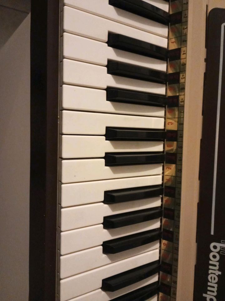 Bonetempi Electric Chord Organ in Niederelbert