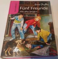 Fünf Freunde Wie alles begann Sammelband 1 Enid Blyton Hessen - Rodenbach Vorschau