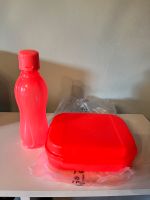 Tupperware Naschkätzchen Brotzeit Box mit Flasche Bayern - Altenkunstadt Vorschau