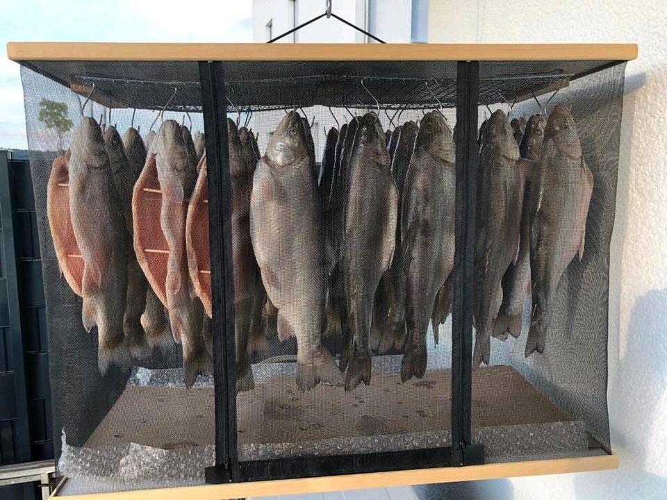 Reifeschrank für Fleisch Wurst Fisch in Regensburg