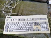 Peacock Tastatur RS3000 Hessen - Neu-Eichenberg Vorschau