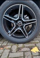 4x CONTINENTAL ECOCONTACT 6 235/50R19 99W Sommerreifen Essen - Frillendorf Vorschau