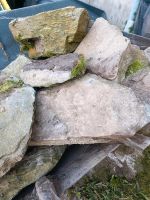Diverse Bruchsteine Steine zu verschenken Sachsen - Roßwein Vorschau